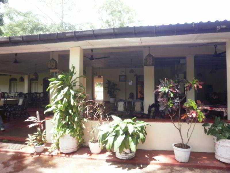 Sigiriya Rest House Bagian luar foto